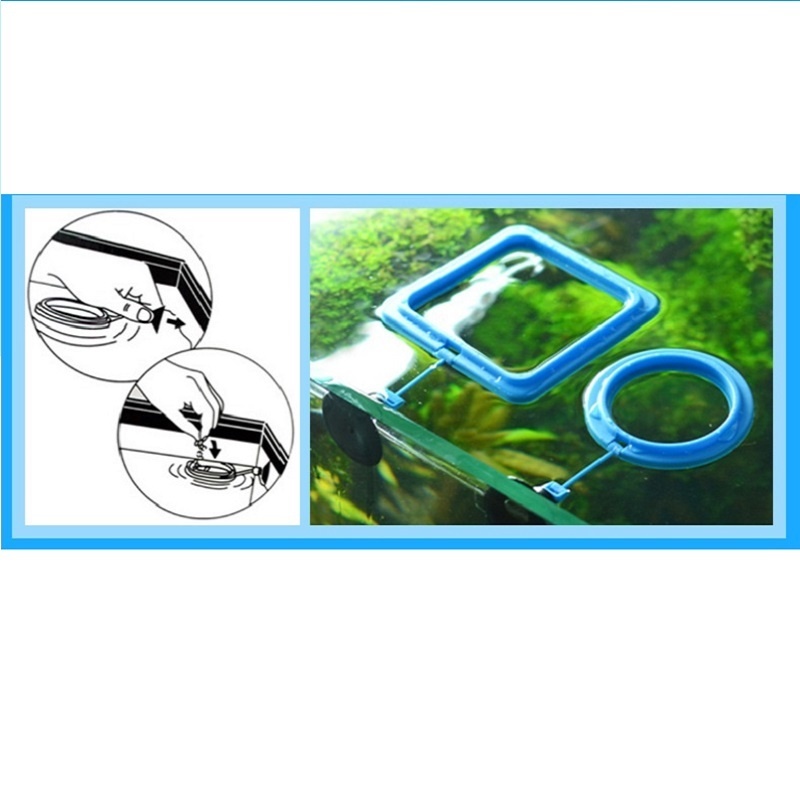 تغذية الأسماك حلقة المغذية معد - مراجعة Tetra Food Tropical Flakes وسعره